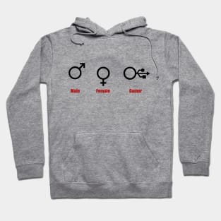 Male Female Gamer Hoodie